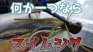 【スイムジグ】女心と秋の空、加えて言うなら秋の魚【コンツァージグ】