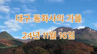 대구 팔공산 동화사 11월 16일 풍경