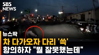 차 다가오자 뒷발 '쓱'…놀라 따지자 돌아온 말 / SBS / 뉴스딱