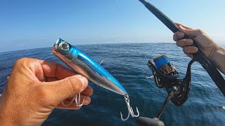 Pesca con POPPER en Mar Abierto | NUEVO RECORD!!