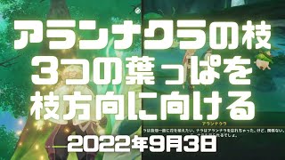 原神実況！アランナクラの枝の場所。3つの葉っぱを枝方向に向けるやり方。「石の記憶」でアランナクラと一緒に「枝」を見つける。ヴァルナ伽陀Genshin ver.3.0(PS4)