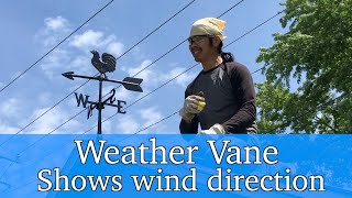 Weather Vane Shows Wind Direction