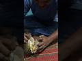 belah duren #shortvideos #cute #durianmusangking #makandurian