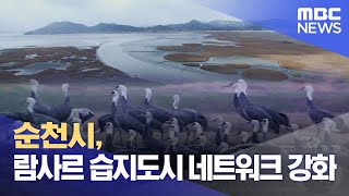 순천시, 람사르 습지도시 네트워크 강화 (2023.06.09/뉴스데스크/여수MBC)