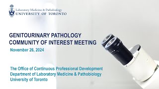 Genitourinary Pathology community of interest meeting: November 26, 2024