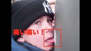 【衝撃】こんな奇跡的な瞬間！見逃せない！ 世界の衝撃＆珍映像集！【おもしろ】