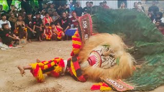 Horeg Lurr ‼️ Reog Ponorogo Singo Mudo Meriahkan Tasyakuran Pernikahan Di Desa Kepuhrubuh Siman