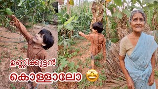 കൃഷി അറിയുന്ന കൊച്ചു മിടുക്കൻ 💯 #krishi #ammamma #farming #farmer |  krishi video malayalam 💯