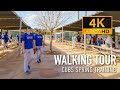 Walking Tour of the Cubs Spring Training Facility in Mesa, Arizona | Baseball Ambience, 4K