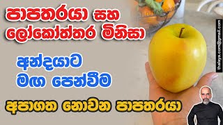 පාපතරයා සහ ලෝකෝත්තර මිනිසා | අන්දයාට මඟ පෙන්වීම | අපාගත නොවන පාපතරයා