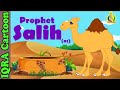 Prophet Stories SALIH (AS) | Islamic Cartoon | Quran Stories | Islamic Children Kids Videos - Ep 05