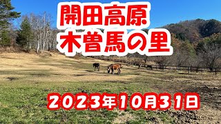 開田高原木曽馬の里に行って来ました。2023年10月31日