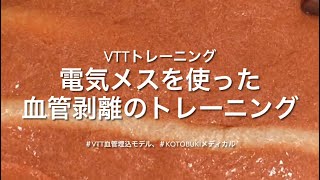 一歩進んだ外科医になる！VTT＋電気メスでのトレーニング！！