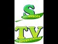 SANKOFA TV INTERNATONAL -   Live Stream