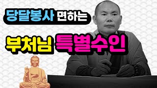 [불교] 우학스님 생활법문 (당달봉사 면하는 부처님의 특별수인)