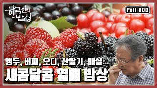 [한국인의밥상★풀버전] 🍒새콤달콤 열매들이 사실 여름 보약이라는 점, 알고 계셨나요? “여름을 부탁해! 새콤달콤, 열매의 힘” (KBS 20140612 방송)