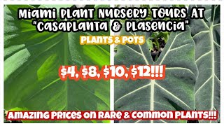 Miami Plant Nursery Tours at CasaPlanta and Plasencia || PLANTS \u0026 POTS || AMAZING PRICES!!!