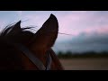 The most cinematic horse video you'll see today