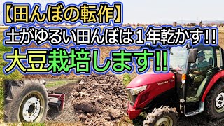 【田んぼの転作・大豆栽培】土がゆるい田んぼは、1年しっかりと乾かします！ブロックローテーション