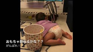 1歳4ヶ月のお片付け練習