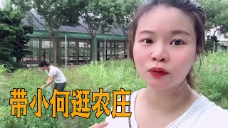 青妹妹带小何到农庄摘火龙果，没一小会就收获一大袋【青妹妹】