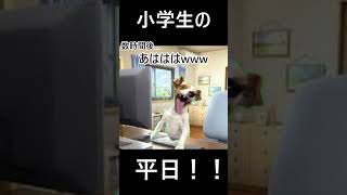 小学生底辺youtuberの平日www #猫ミーム #猫マニ