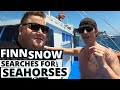 FINNSNOW Finds Rare PYGMY SEAHORSES | Diving in Dauin Philippines