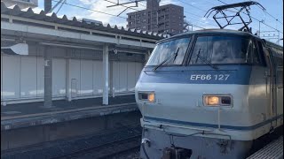 JR武蔵野線三郷駅2番線を通過するEF66-127号機(吹)貨物列車。2023年1月22日撮影。