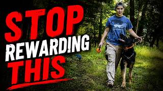 Stop Making These Dog Training Mistakes