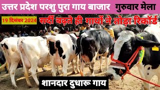 परशु पुरा पशु बाजार इटावा | गाय बाजार | दुधारू गाय | parshu pura bazar Etawah| hf sahiwal Jersey cow