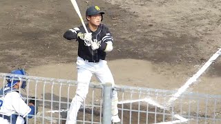 【SB2軍】井上朋也１アウト満塁６回表打席　2022年4月22日 ソフトバンクホークス対中日ドラゴンズ プロ野球 2軍ファーム戦 ウエスタンリーグ ナゴヤ球場