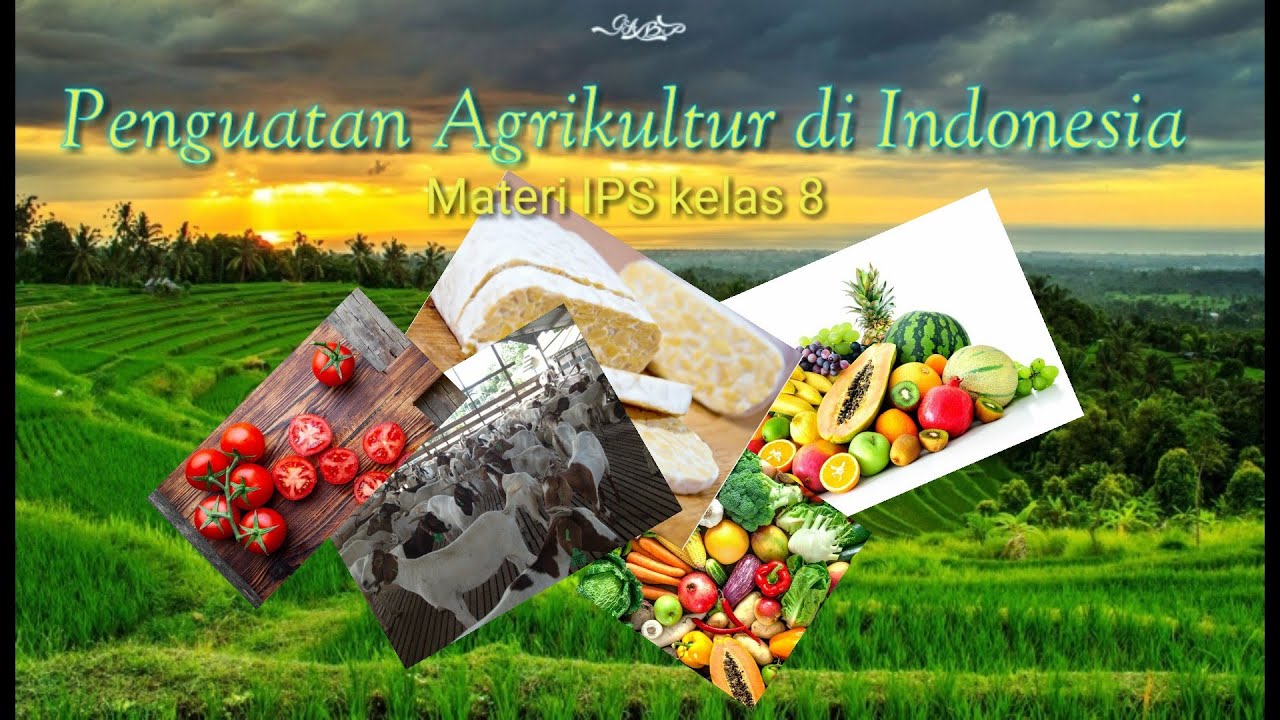 Materi Ips Kelas Viii Agrikultur Di Indonesia Smp Ahmad Dahlan Youtube ...