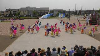 2018・千葉ヨサお披露目会(ステージ)飛翠迅