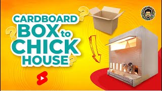 Cardboard Box to Chick House | Easy Brooding for chicks | homemade #shorts #diy #chick #trending