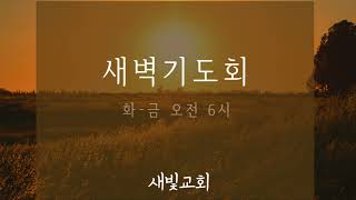 2024년 12월 26일(목요일) 새벽기도회