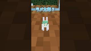 明日はきっと良い日になるよね？【そらねこ】【マイクラアニメ】【マインクラフト】