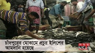 এবারের শীতে চাঁদপুরের মোকামে প্রচুর ইলিশের আমদানি হয়েছে