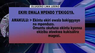 Olugero Lwa Leero mu Gyakoakawuuwo lwa makulu