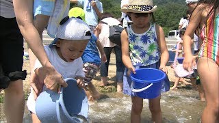 16日は「海の日」　高松市の海岸でタイやヒラメの稚魚を放流