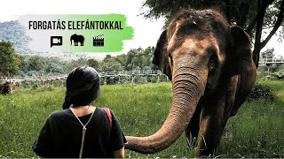 🐘 Elefánt vlog Thaiföldről - Milyen egy forgatás?