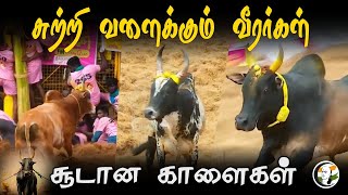 சுற்றி வளைக்கும் வீரர்கள் சூடான காளைகள் | Palamedu Jallikattu | Mattu Pongal | Madurai