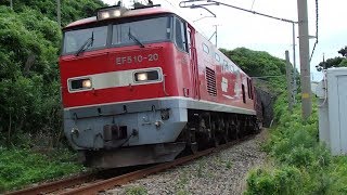 列車番号4091　EF510-20　羽越本線（村上～間島）60P