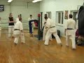 kyokushin seibukai vizsga