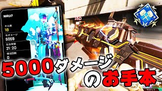 5000ダメージのお手本【APEX LEGENDS】