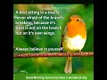 Very Good Morning to All of You|| Morning wishes with birds images|quotes||