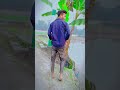 আপনার চোখে আমি খারাপ 🫰🤟🤙 evryone attitude vairalvideo foryou foryou forypurpage