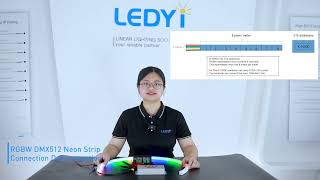 Master the Connection of DMX512 Addressable Neon Strips with Ledyi Lighting