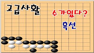 절묘하게 수를 만드는 수법 - 바둑사활