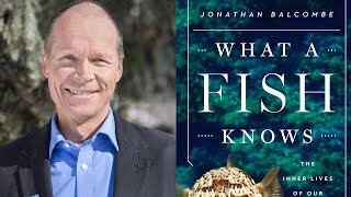 Our interview with fish expert Jonathan Balcombe