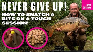 NEVER GIVE UP! How to Snatch a Bite on a Tough Carp Fishing Session! PLUS Mega Mainline Giveaway!